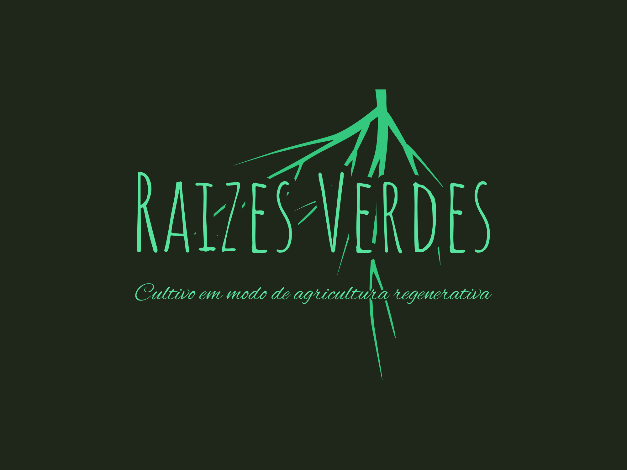 Raizes Verdes – a nossa loja