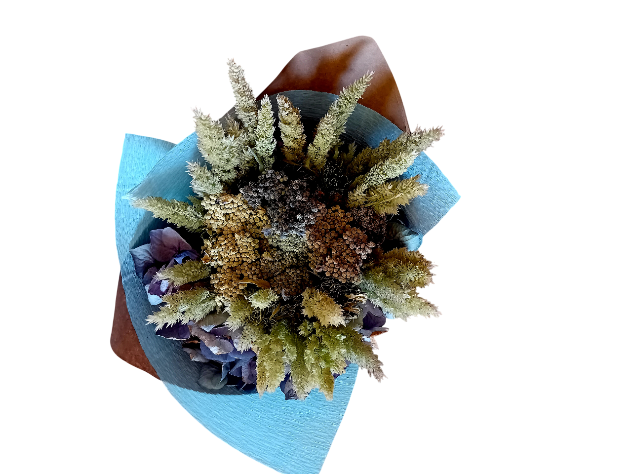 20250718_140051-Photoroom