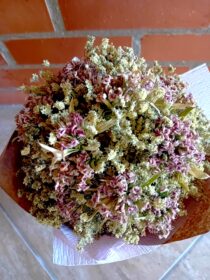 Ramo de flores rosa claro cravo dos poetas