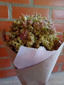 Ramo de flores rosa claro cravo dos poetas