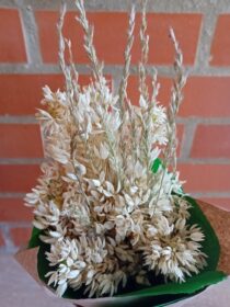 Ramo de flores branco beijinhos de mae