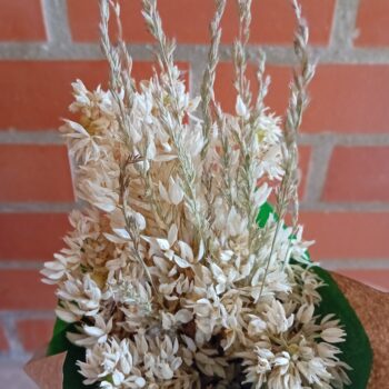 Ramo de flores branco beijinhos de mae