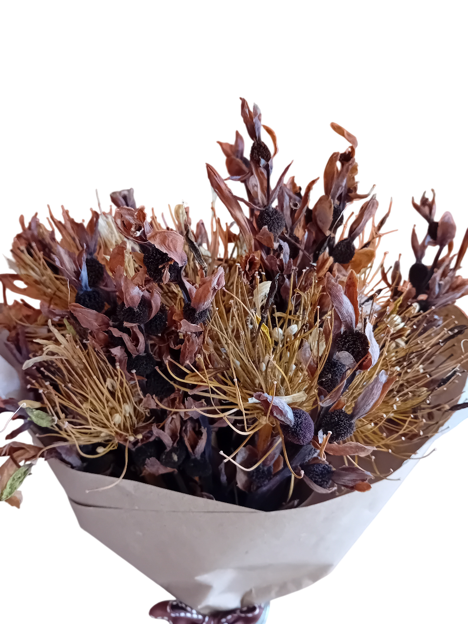 20250718_141654-Photoroom