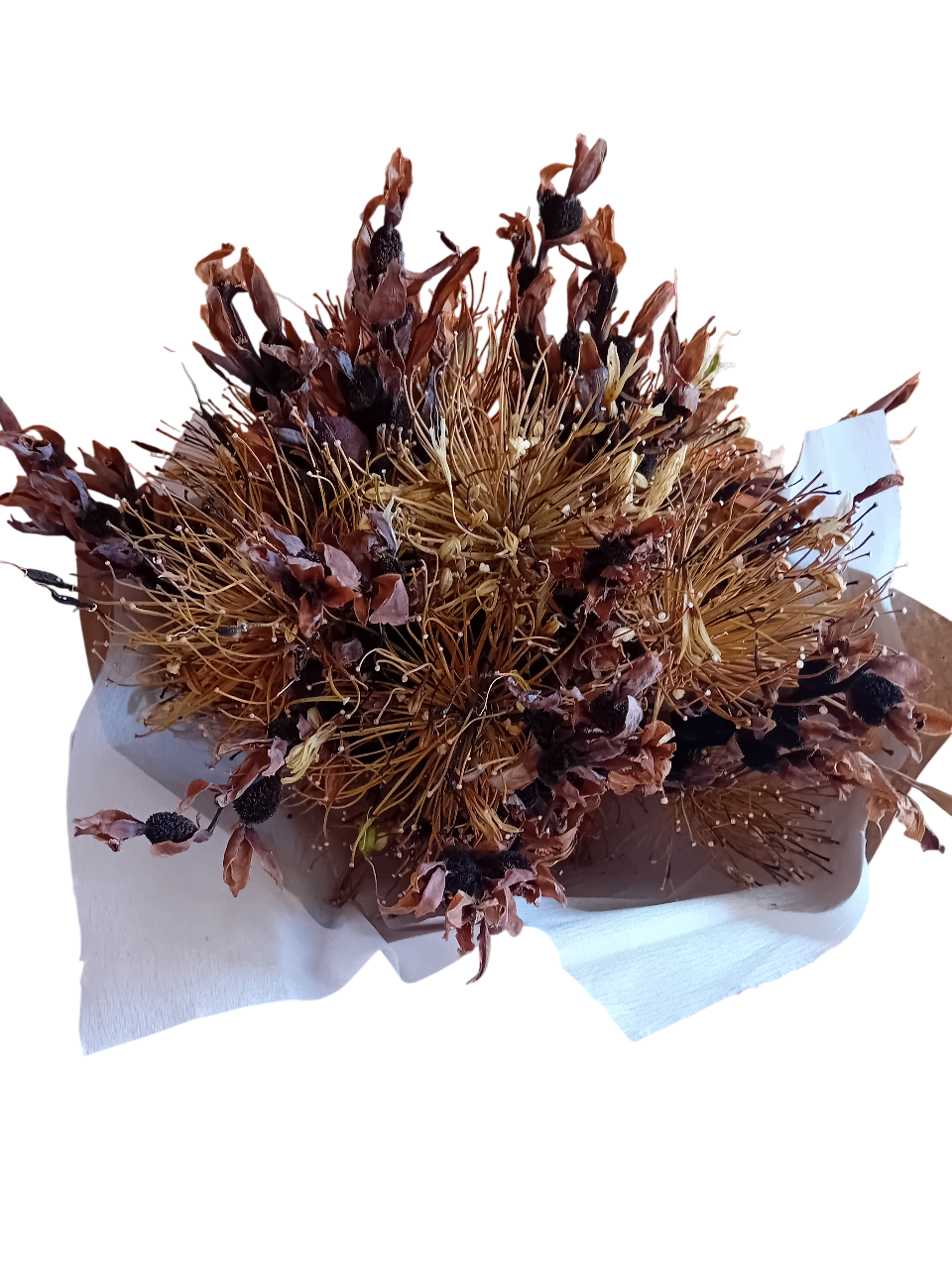 20250718_141708-Photoroom