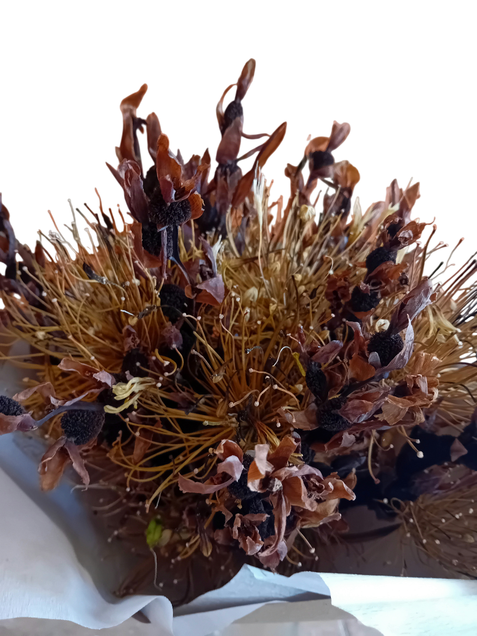 20250718_141713-Photoroom