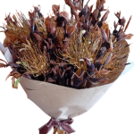 Ramo de flores castanho Canna Indica