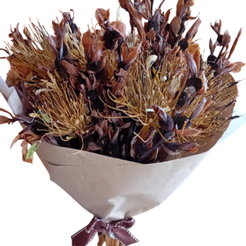 Ramo de flores castanho Canna Indica