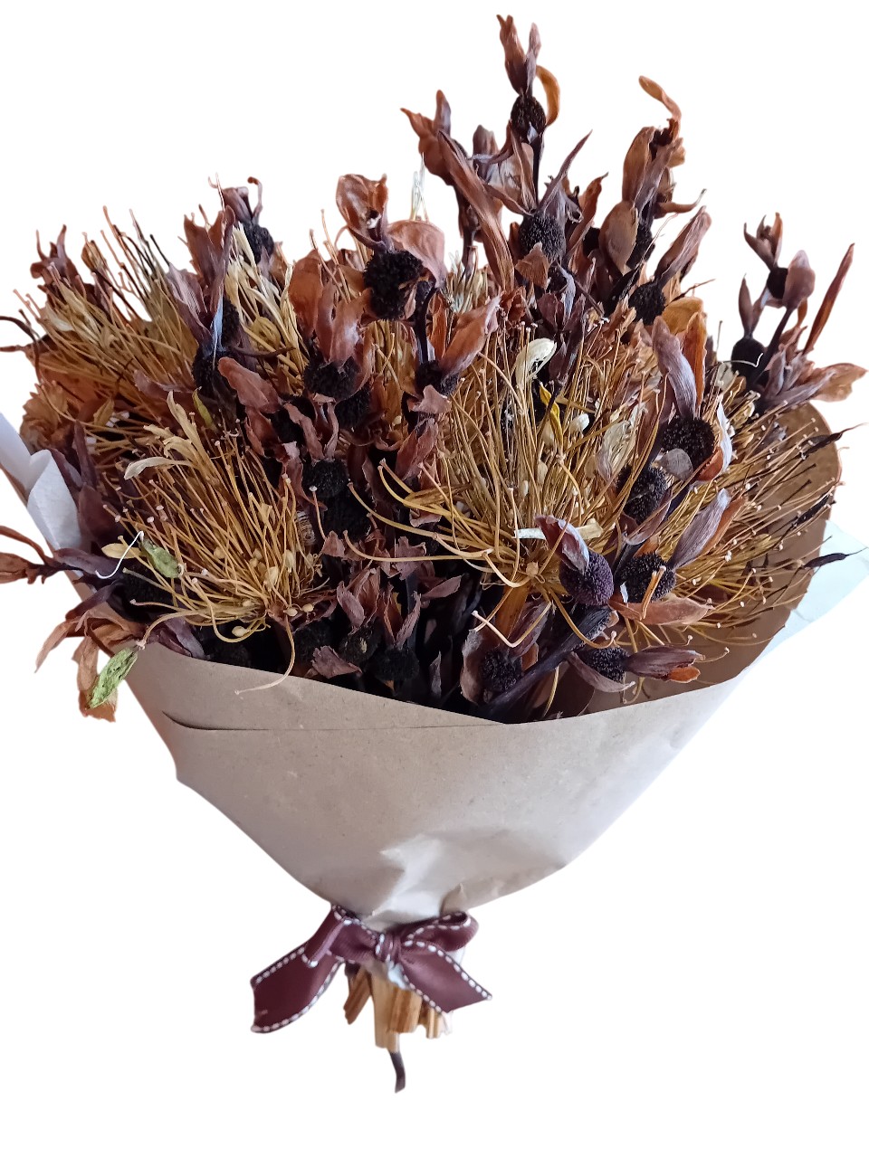 Ramo de flores castanho Canna Indica Ramo de flores castanho Canna Indica