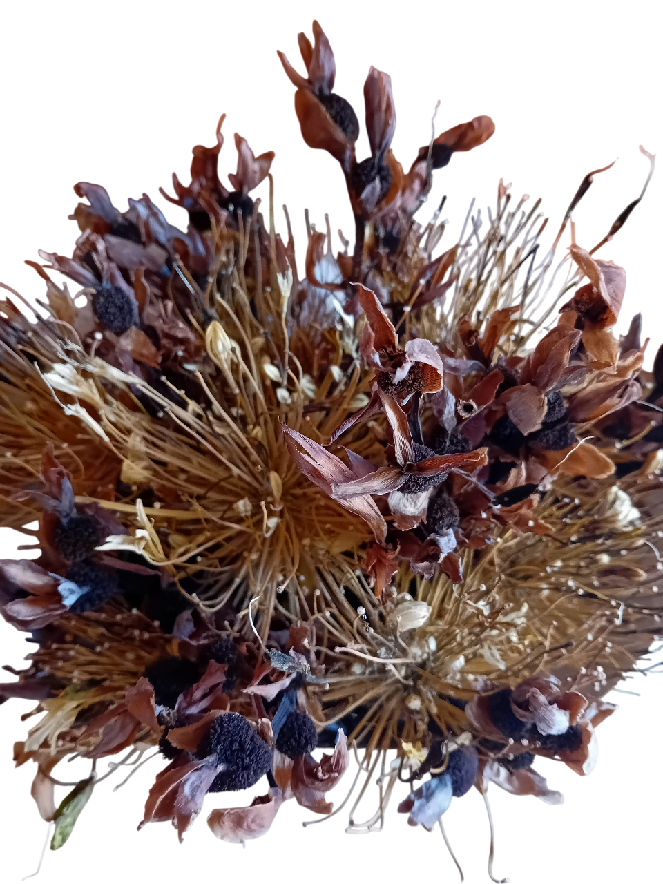 20250718_141739-Photoroom