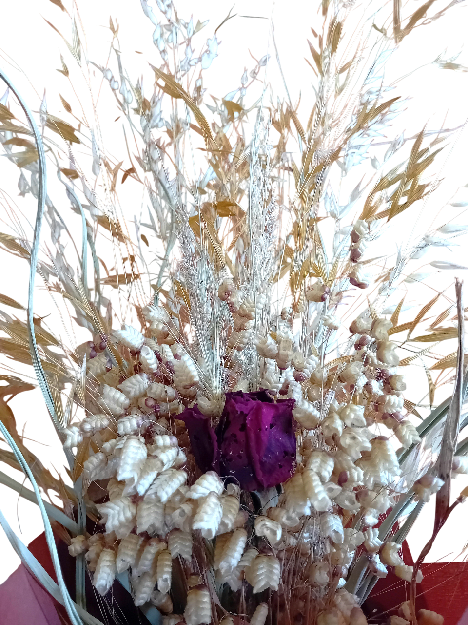 20250718_141932-Photoroom