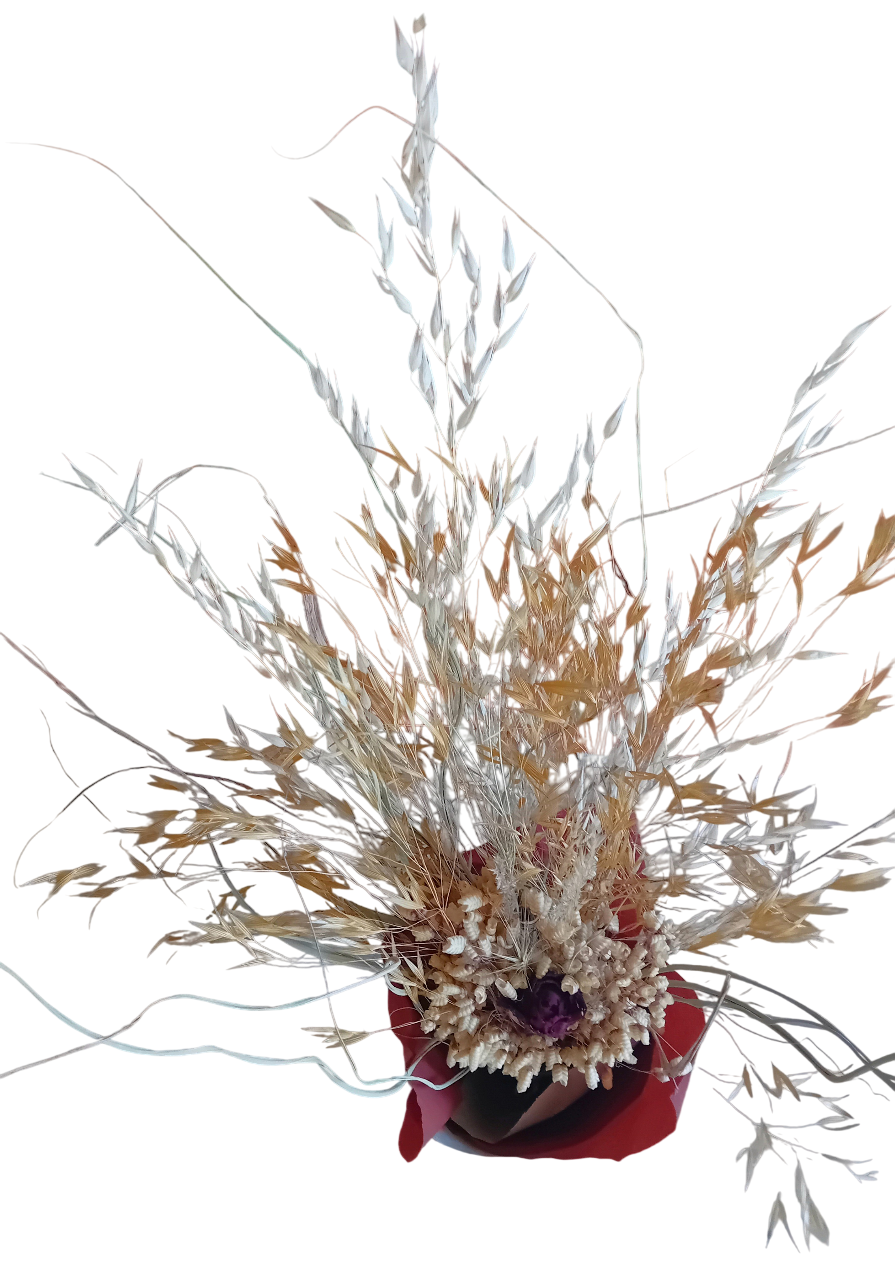 20250718_141939-Photoroom