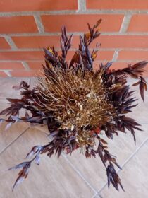 Ramo de flores castanho Agapanto