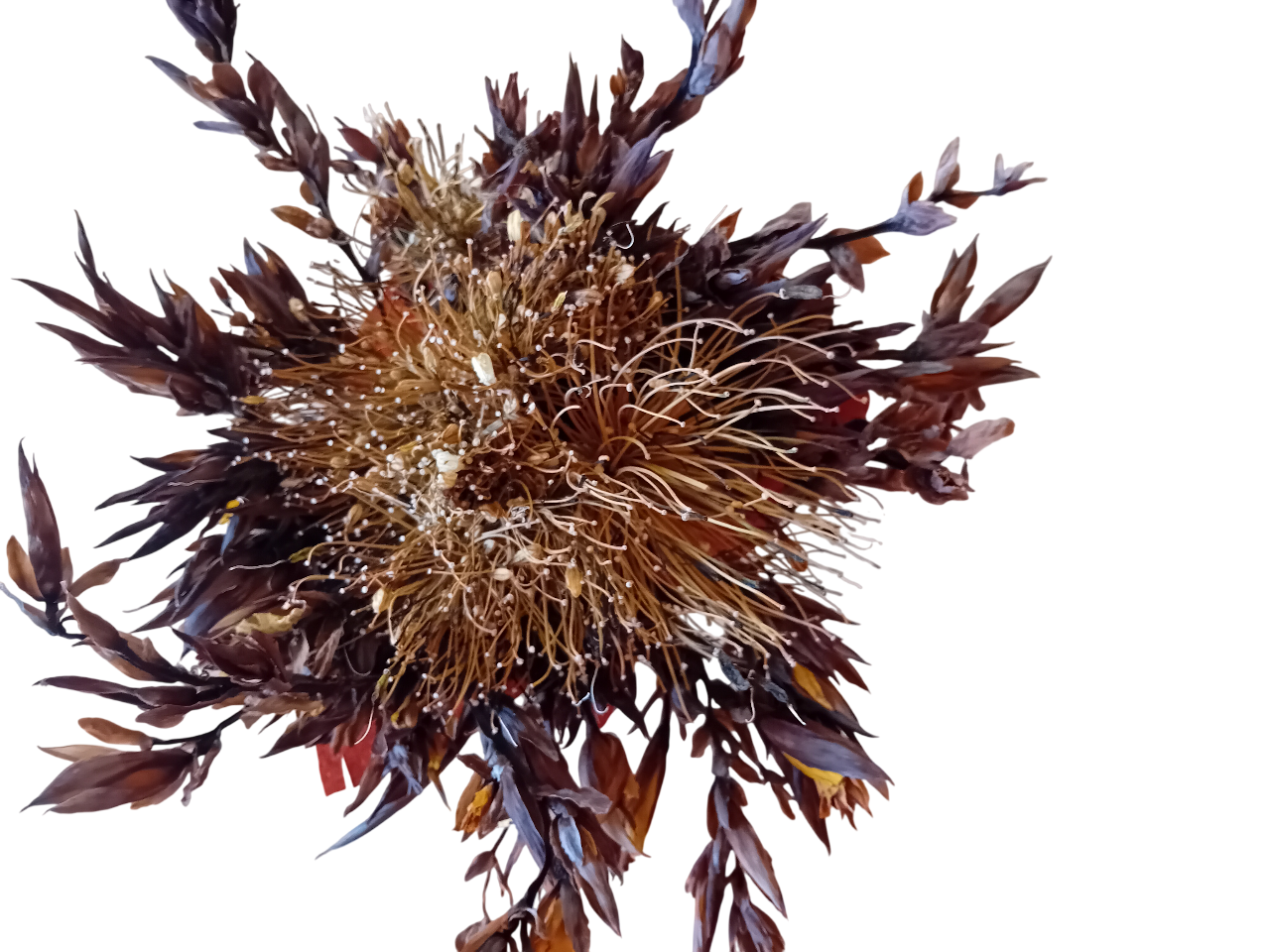 20250718_142126-Photoroom