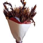 Ramo de flores castanho Agapanto