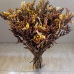Ramo de flores secas Canna Indica
