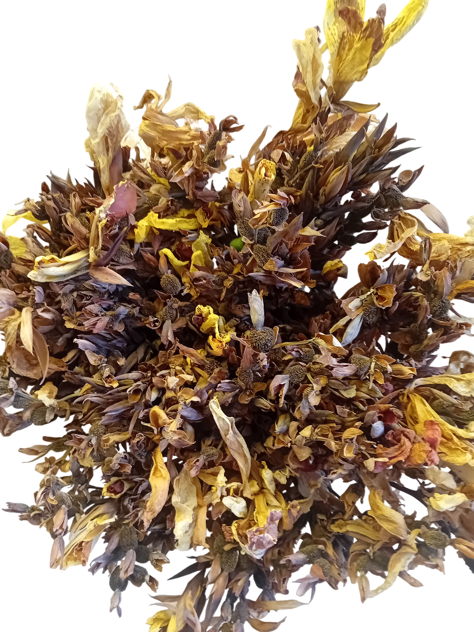 20250912_145913-Photoroom