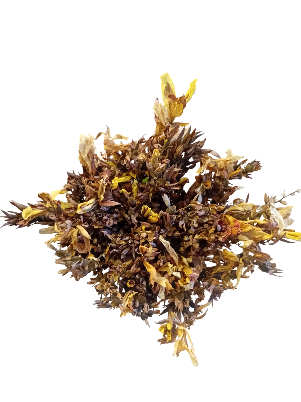 Ramo de flores secas Canna Indica Ramo de flores secas Canna Indica
