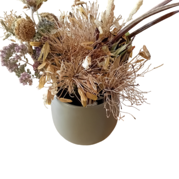 Ramo semente de loendro