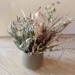 Ramo vaso salvia hortela