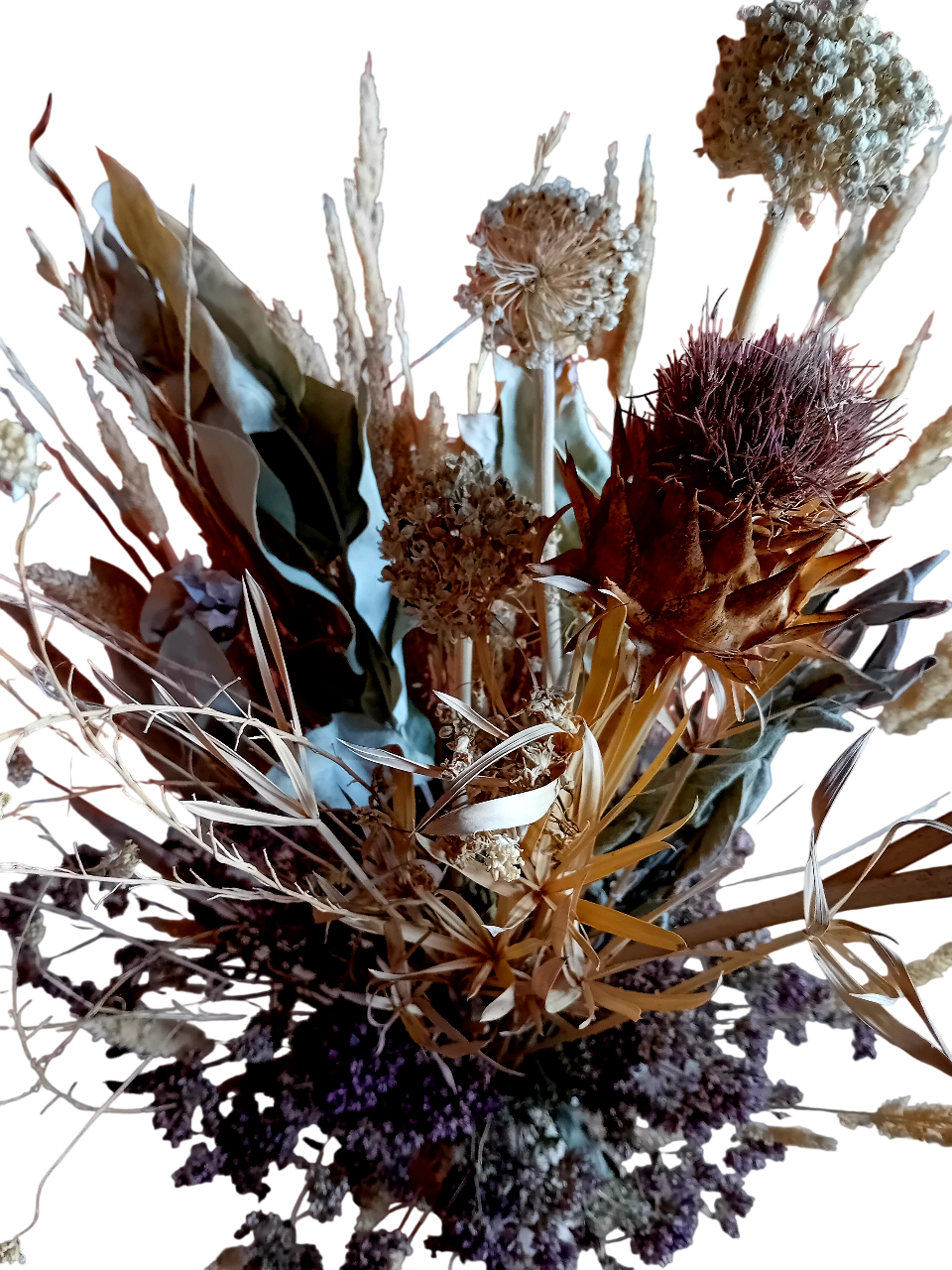 20251029_145608-Photoroom