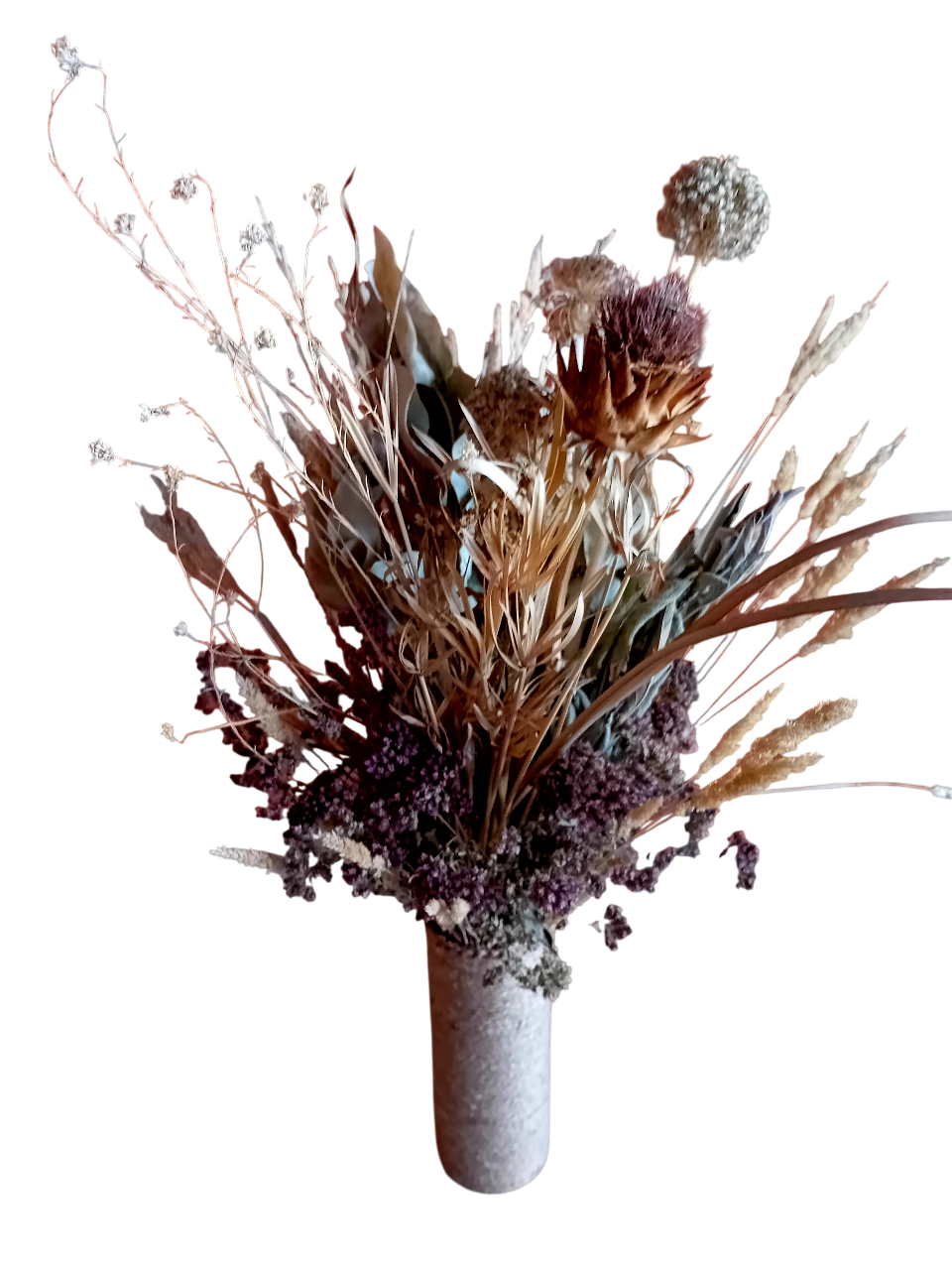 20251029_145615-Photoroom