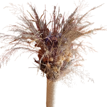 Ramo de flores agapanto azul