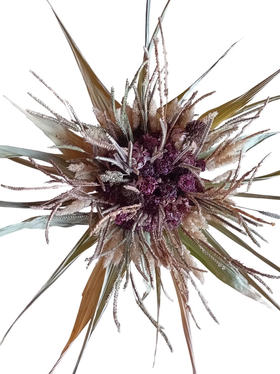 Ramo de flores Zinia Ramo de flores Zinia