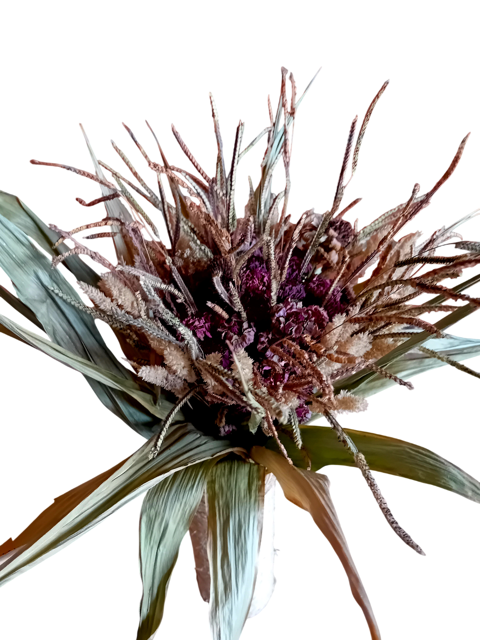 20251029_145915-Photoroom