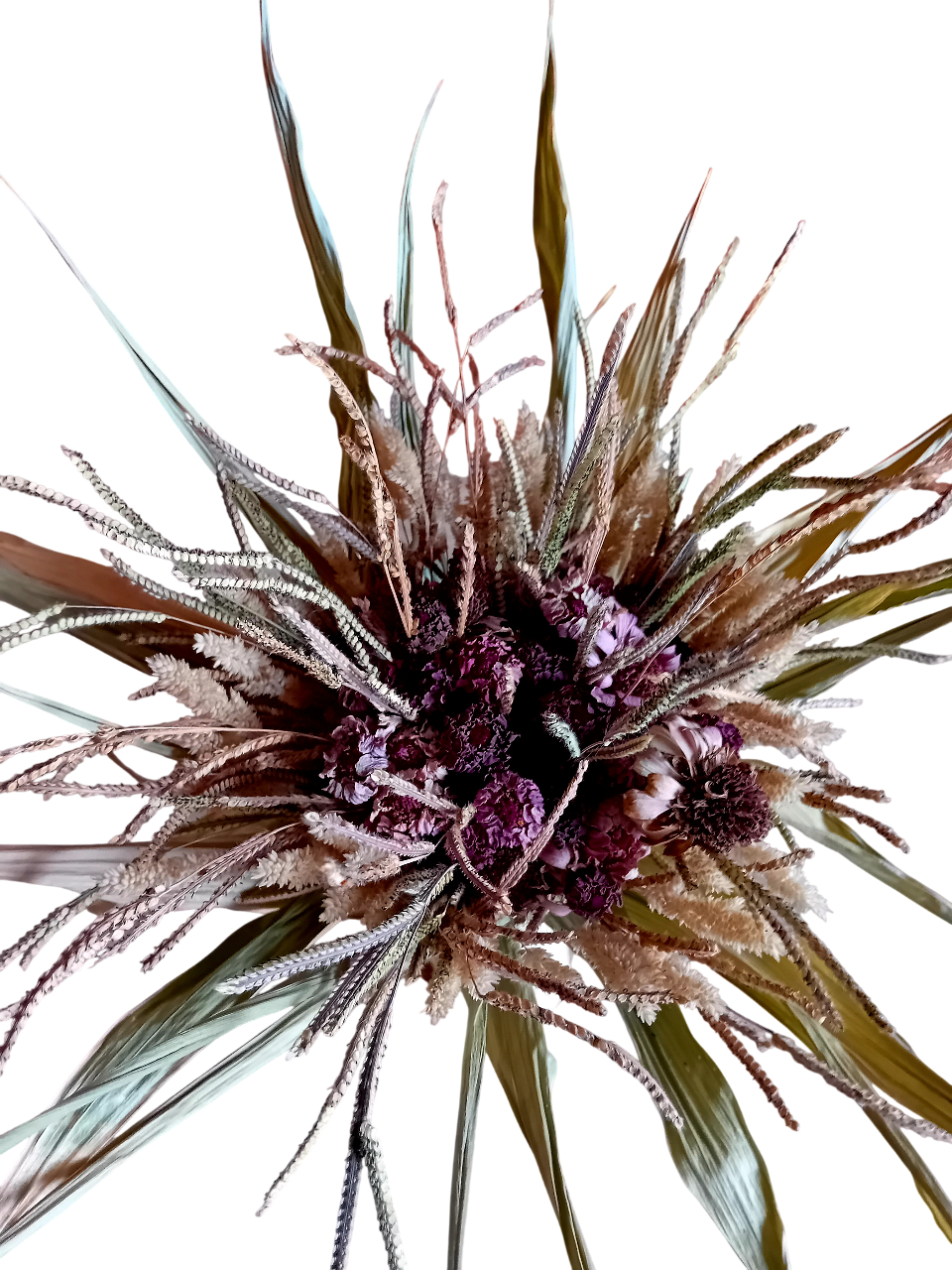 Ramo de flores zinia Ramo de flores zinia