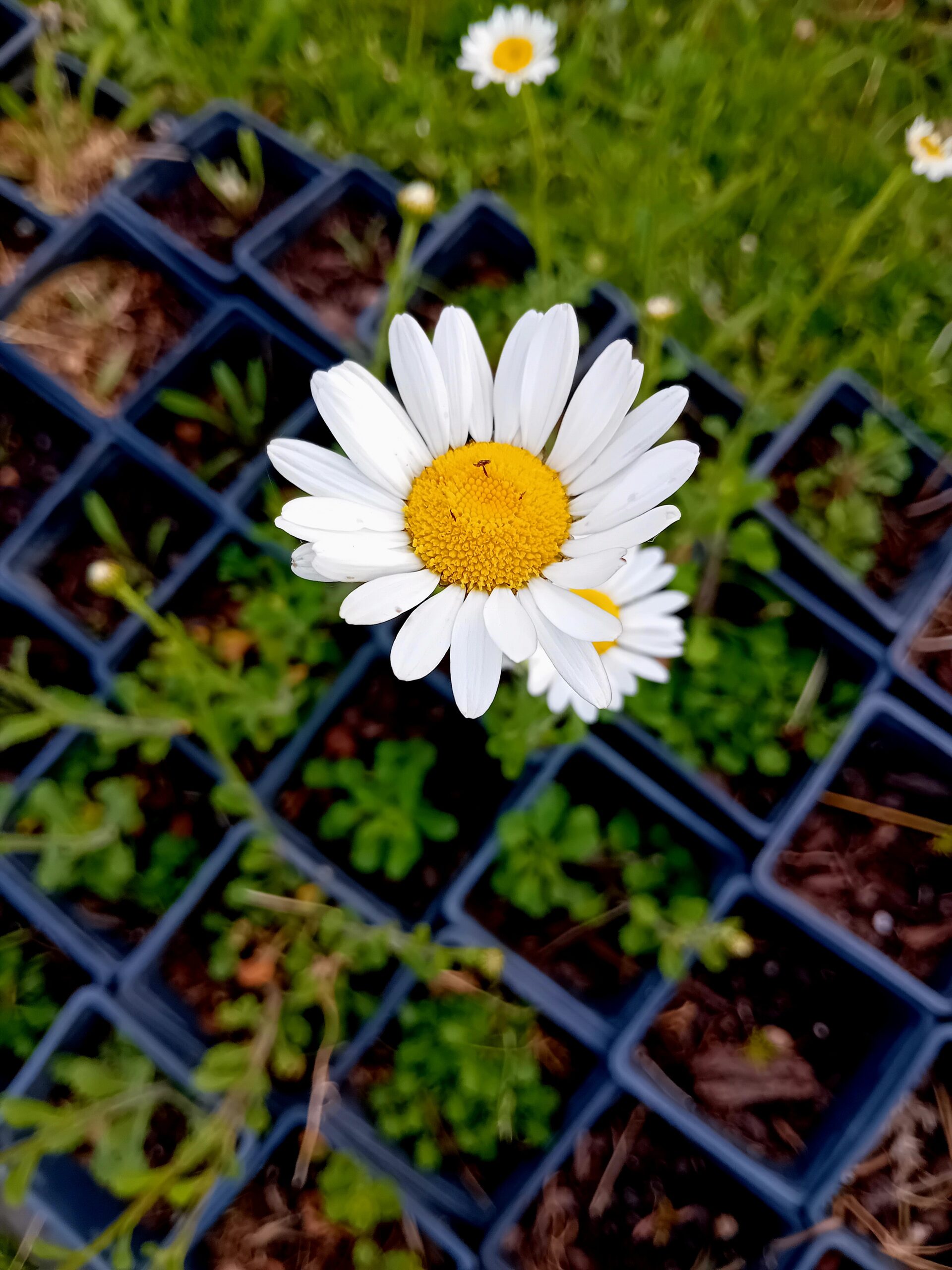 20260423_190352